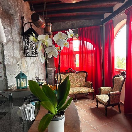 Hotel Punto Azzurro Forio di Ischia Exteriér fotografie