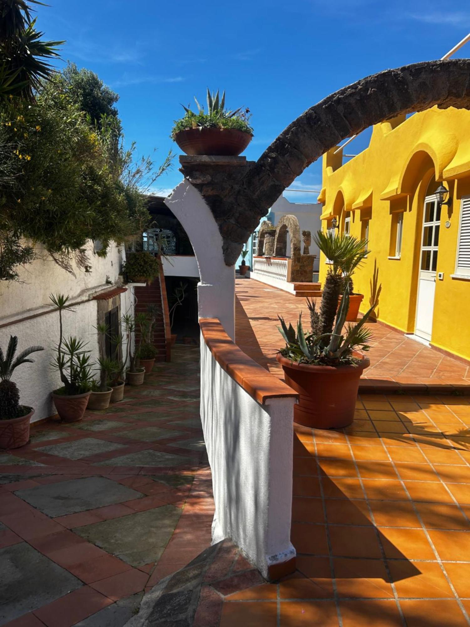 Hotel Punto Azzurro Forio di Ischia Exteriér fotografie