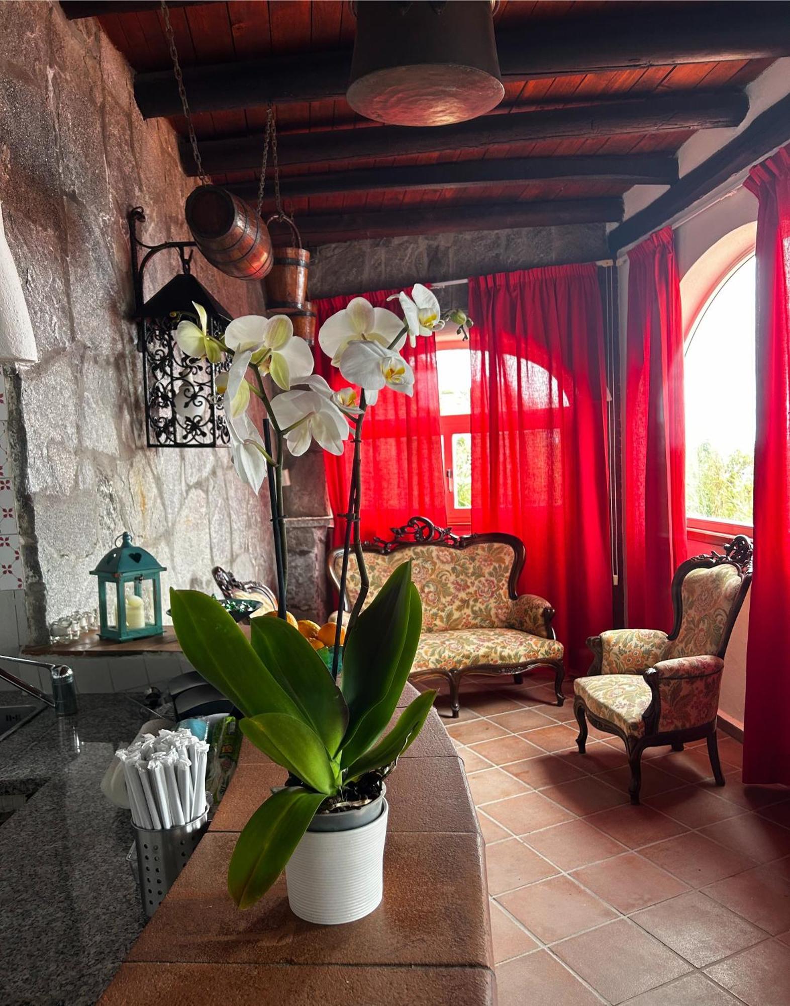 Hotel Punto Azzurro Forio di Ischia Exteriér fotografie