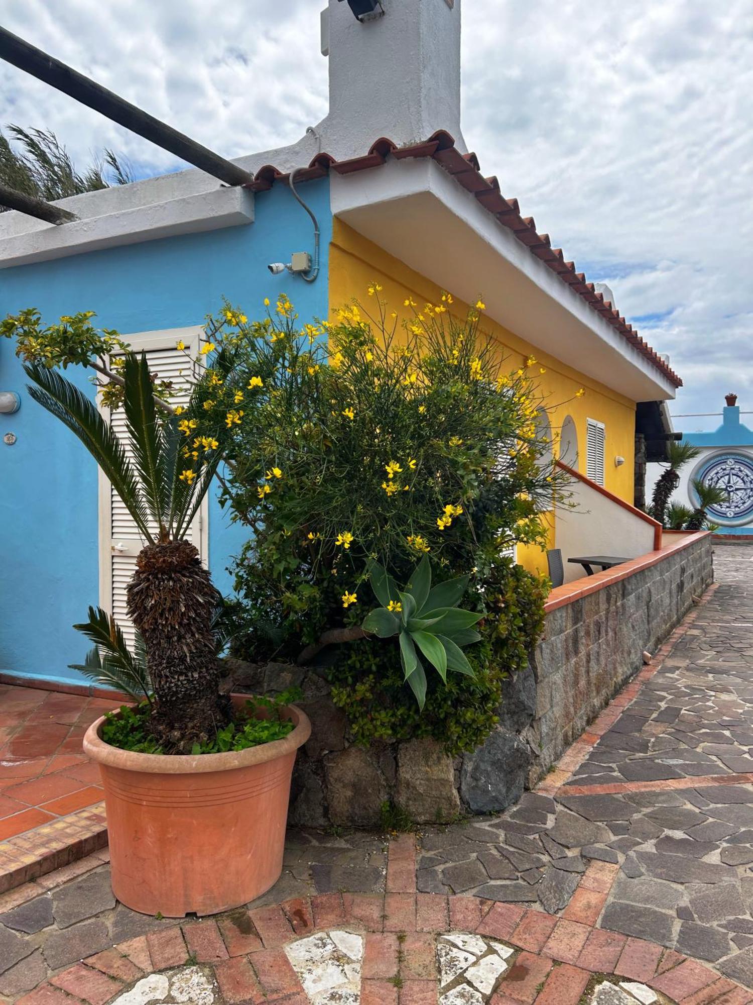 Hotel Punto Azzurro Forio di Ischia Exteriér fotografie