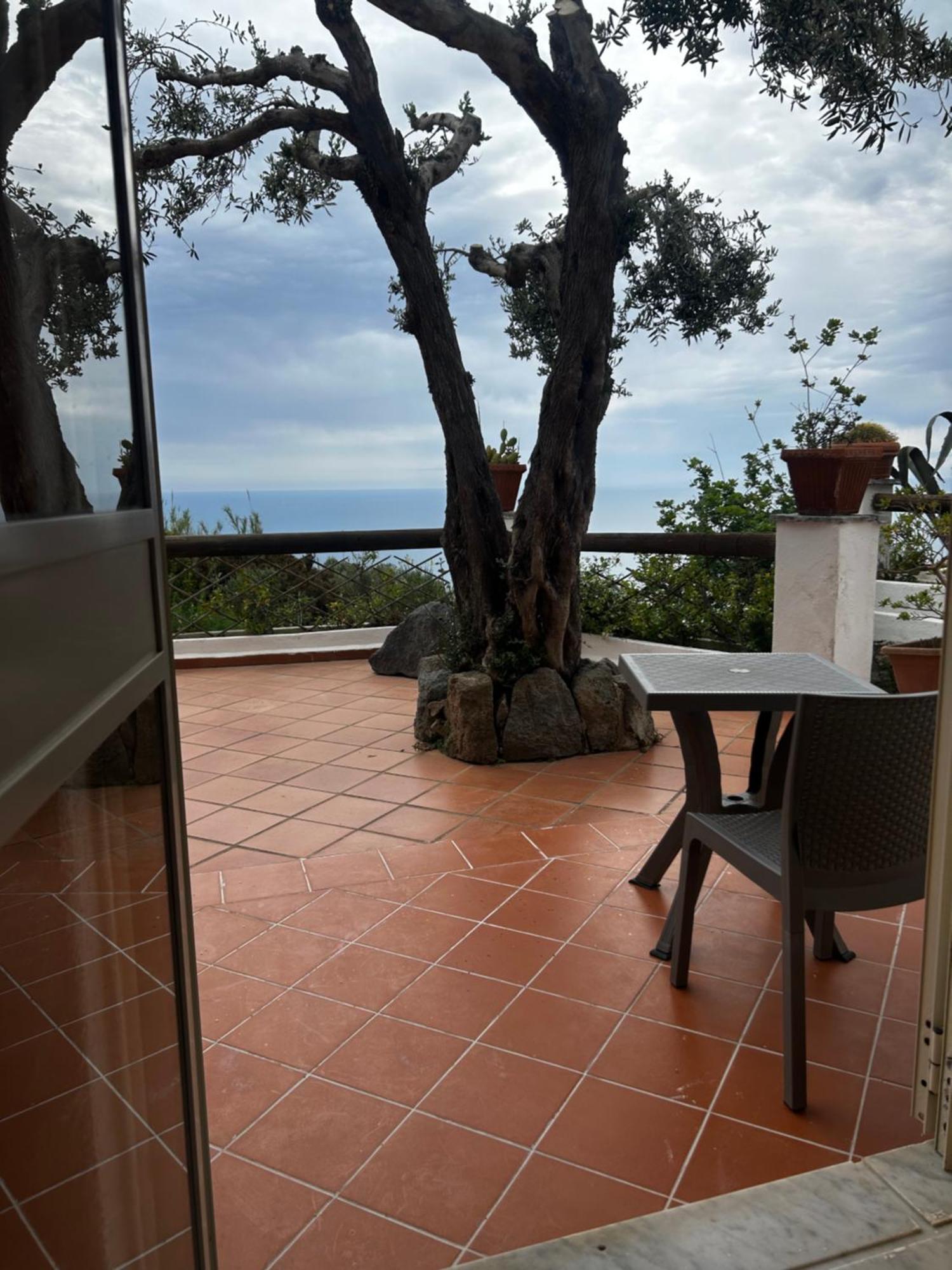 Hotel Punto Azzurro Forio di Ischia Exteriér fotografie
